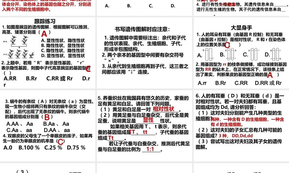 八年级生物上册 第四章 第二节 性状的遗传复习课件 （新版）济南版