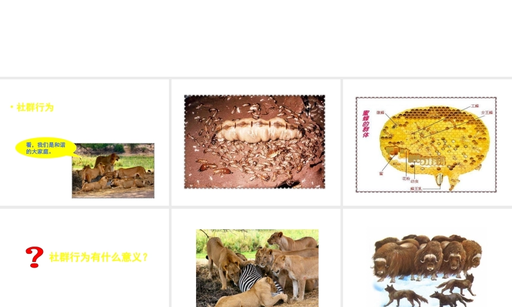 八年级生物上册 第六单元 第十八章 第一节 动物行为的主要类型课件 （新版）苏教版-（新版）苏教级上册生物课件