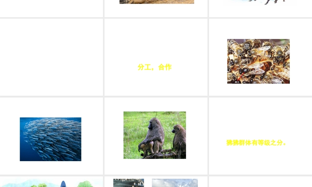 八年级生物上册 第六单元 第十八章 第一节 动物行为的主要类型课件 （新版）苏教版-（新版）苏教级上册生物课件