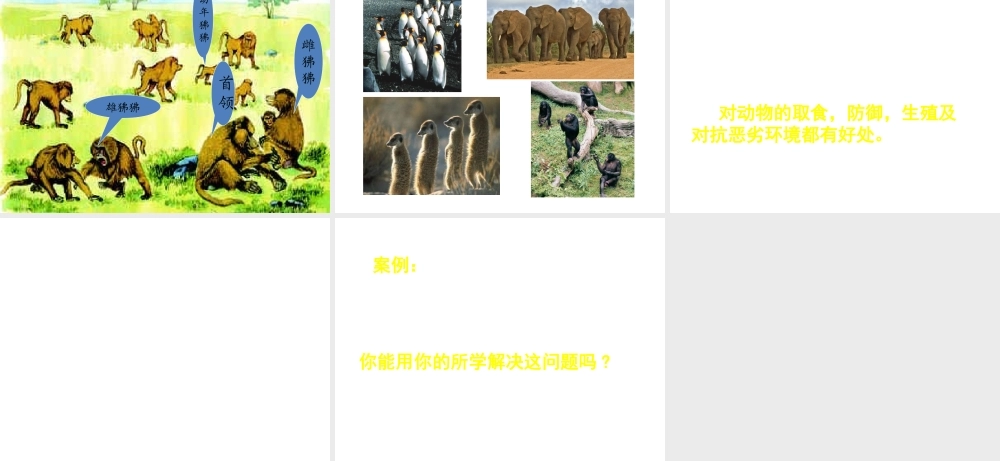 八年级生物上册 第六单元 第十八章 第一节 动物行为的主要类型课件 （新版）苏教版-（新版）苏教级上册生物课件