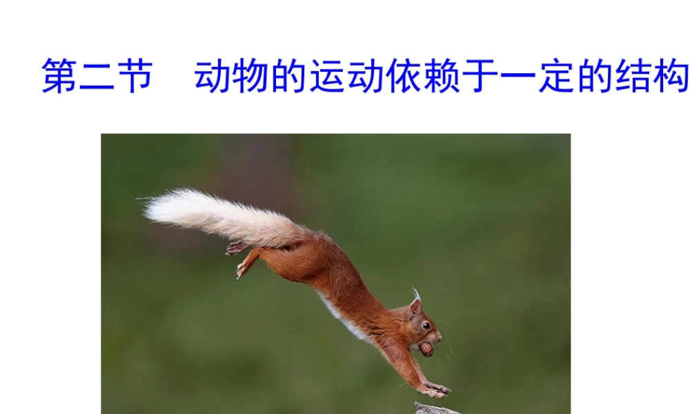 八年级生物上册 第六单元 第十七章 第二节 动物的运动依赖于一定的结构课件1 （新版）苏教版-（新版）苏教级上册生物课件