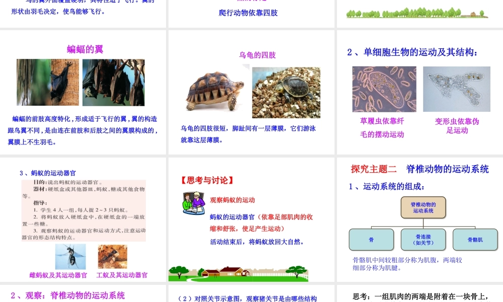 八年级生物上册 第六单元 第十七章 第二节 动物的运动依赖于一定的结构课件1 （新版）苏教版-（新版）苏教级上册生物课件