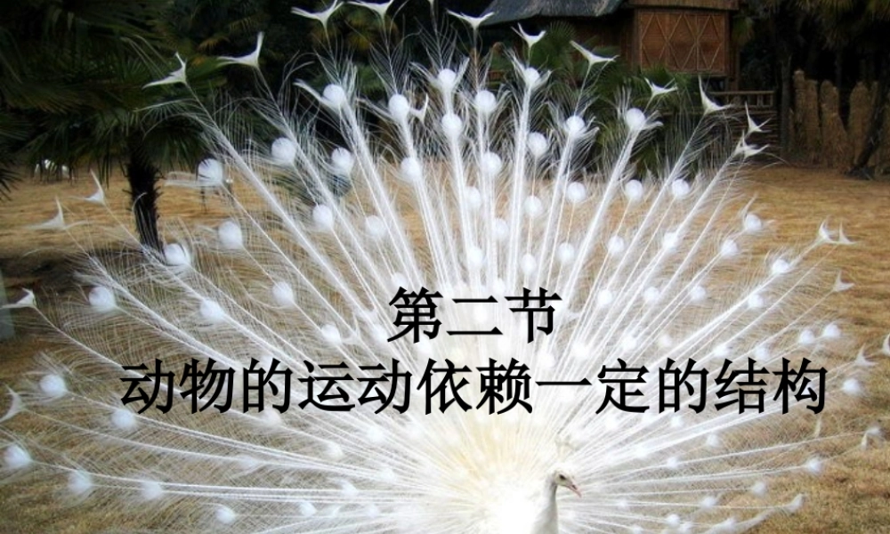 八年级生物上册 第六单元 第十七章 第二节 动物的运动依赖于一定的结构课件2 （新版）苏教版-（新版）苏教级上册生物课件