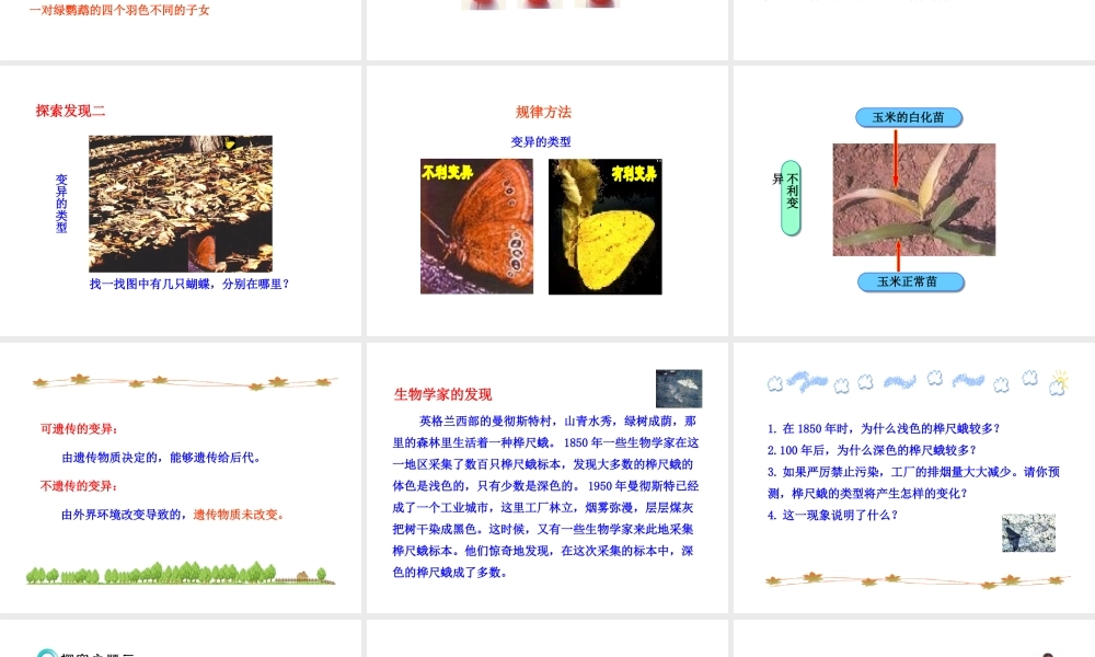 八年级生物上册 第四章 第四节 生物的变异课件 济南版