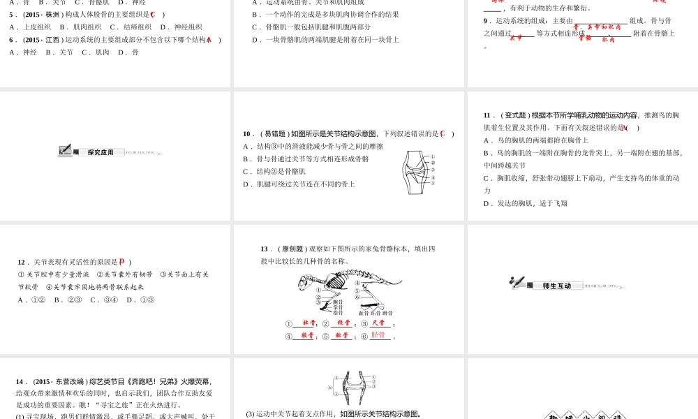 八年级生物上册 第五单元 第二章 第一节 动物的运动（第1课时 运动系统的组成）习题课件 （新版）新人教版-（新版）新人教级上册生物课件