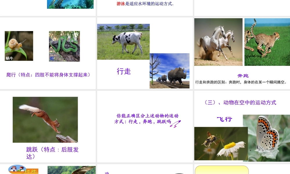 八年级生物上册 第六单元 第十七章 第一节 动物运动的形式和能量供应课件1 （新版）苏教版-（新版）苏教级上册生物课件