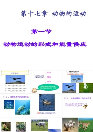 八年级生物上册 第六单元 第十七章 第一节 动物运动的形式和能量供应课件1 （新版）苏教版-（新版）苏教级上册生物课件