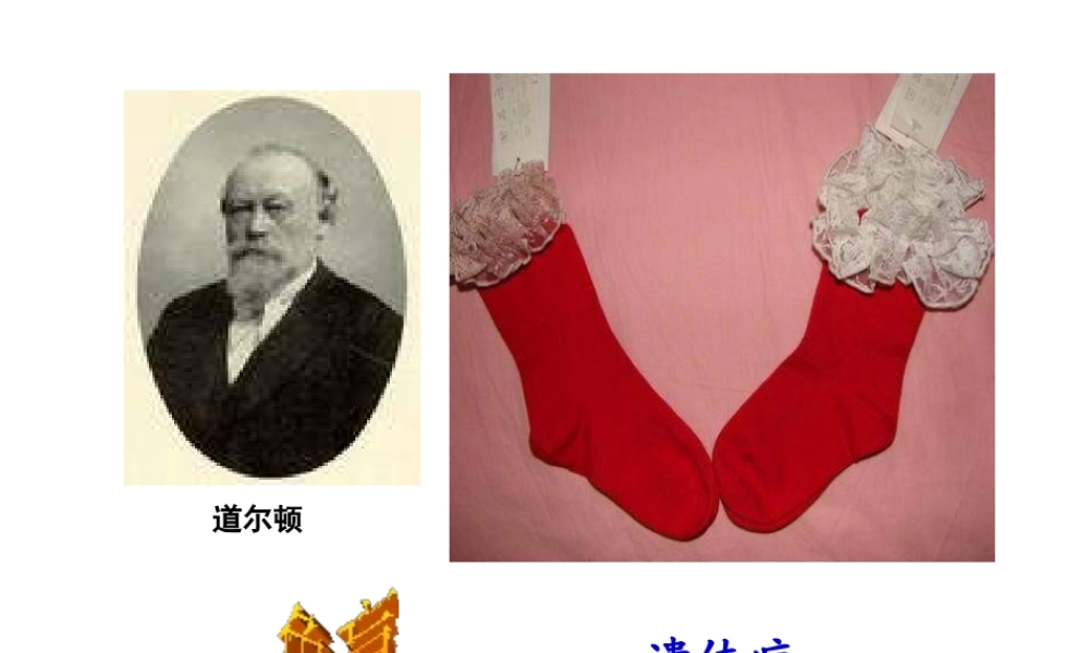 八年级生物上册 第四章 第五节 人类优生与基因组计划课件 （新版）济南版