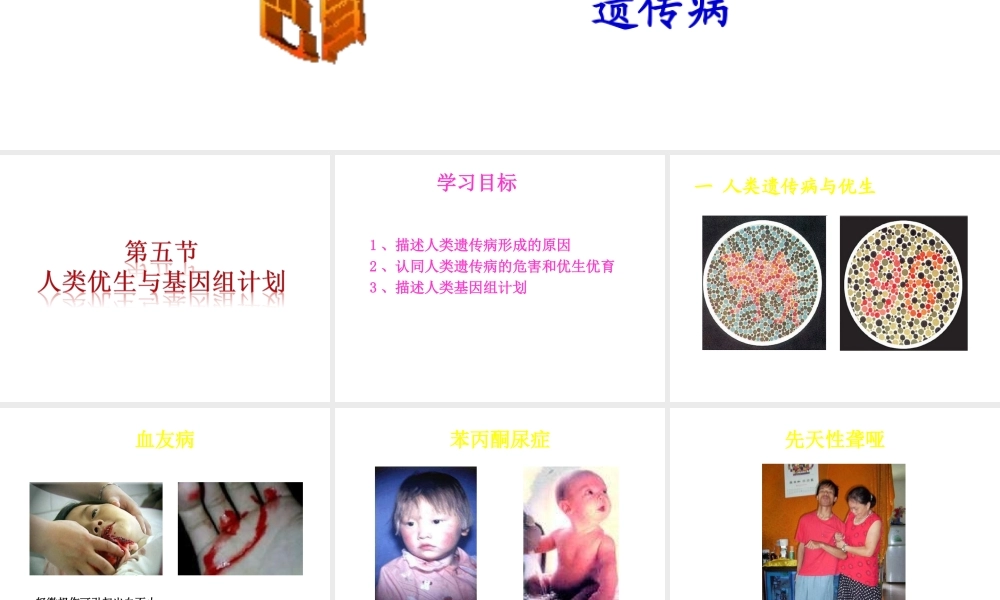 八年级生物上册 第四章 第五节 人类优生与基因组计划课件 （新版）济南版