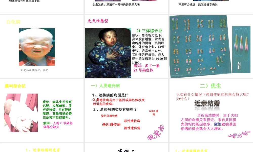 八年级生物上册 第四章 第五节 人类优生与基因组计划课件 （新版）济南版