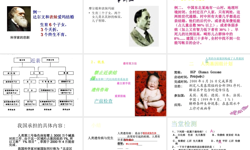 八年级生物上册 第四章 第五节 人类优生与基因组计划课件 （新版）济南版