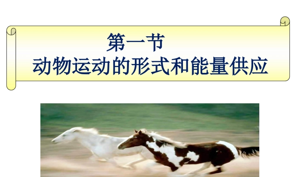 八年级生物上册 第六单元 第十七章 第一节 动物运动的形式和能量供应课件2 （新版）苏教版-（新版）苏教级上册生物课件