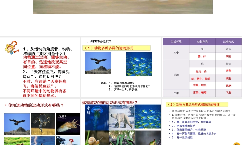 八年级生物上册 第六单元 第十七章 第一节 动物运动的形式和能量供应课件2 （新版）苏教版-（新版）苏教级上册生物课件