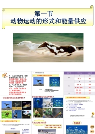 八年级生物上册 第六单元 第十七章 第一节 动物运动的形式和能量供应课件2 （新版）苏教版-（新版）苏教级上册生物课件