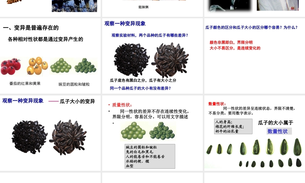 八年级生物上册 第四单元 第四章 第四节 生物的变异课件 济南版