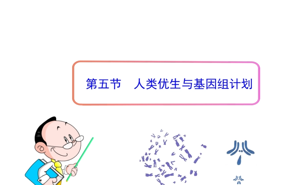 八年级生物上册 第四章 第五节 人类优生与基因组计划课件 济南版