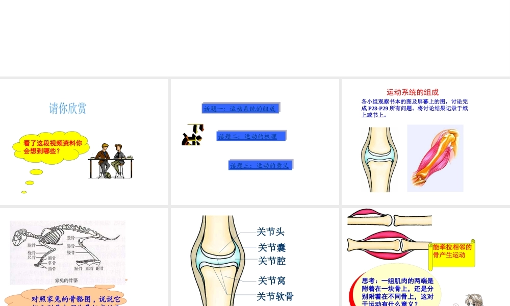 八年级生物上册 第五单元 第二章 第一节 动物的运动课件 （新版）新人教版