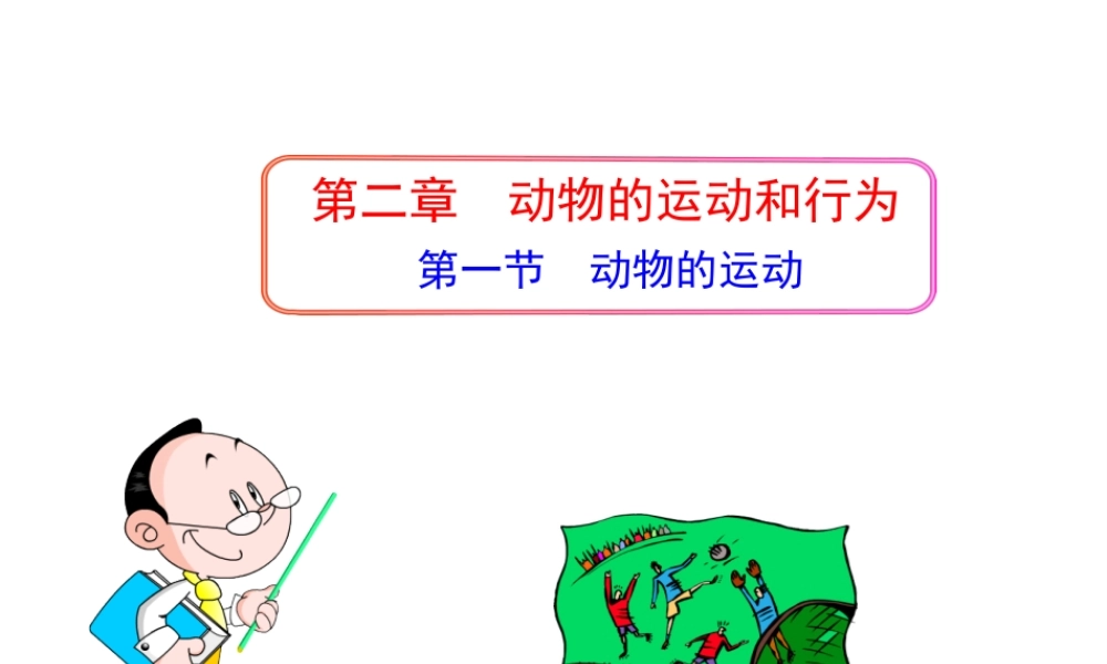 八年级生物上册 第五单元 第二章 第一节 动物的运动课件 新人教版