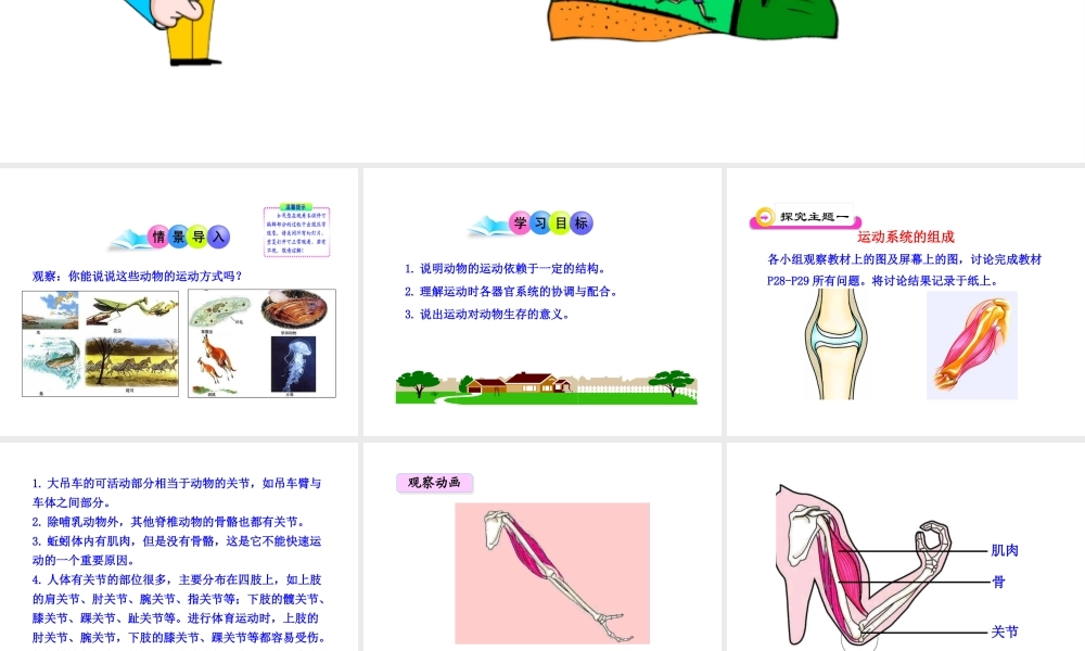 八年级生物上册 第五单元 第二章 第一节 动物的运动课件 新人教版