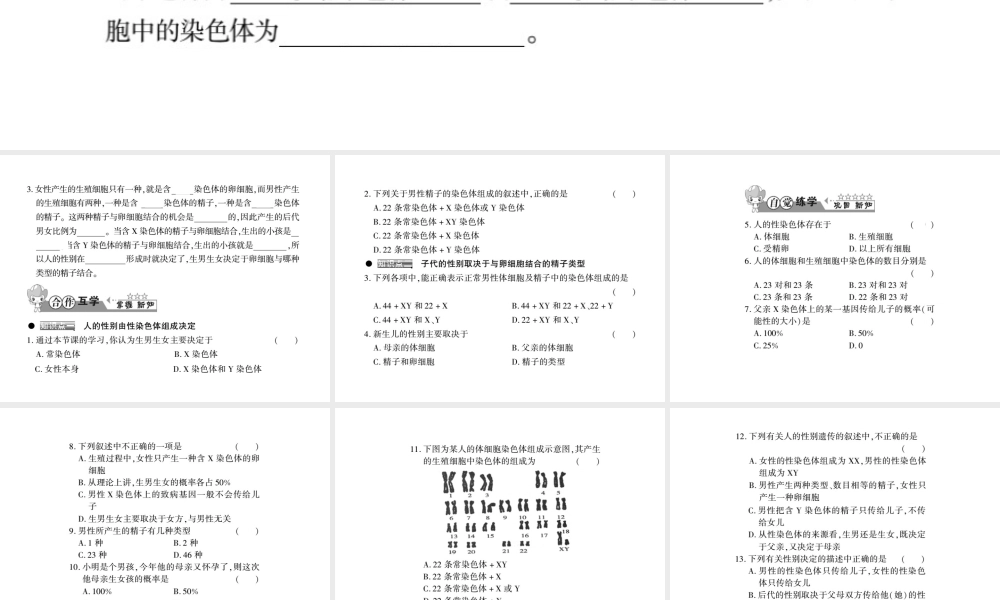 八年级生物上册 第六单元 第20章 第4节 性别和性别决定习题课件 （新版）北师大版-（新版）北师大版初中八年级上册生物课件