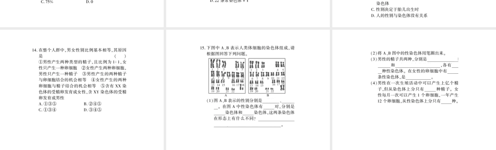 八年级生物上册 第六单元 第20章 第4节 性别和性别决定习题课件 （新版）北师大版-（新版）北师大版初中八年级上册生物课件