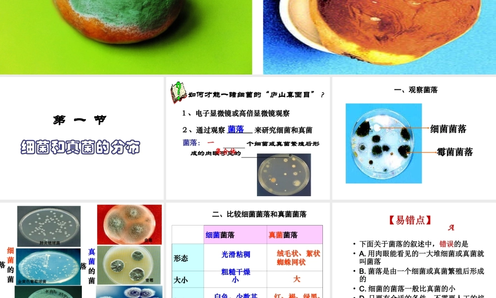 八年级生物上册 第四章 第一节 细菌和真菌的分布课件 （新版）新人教版