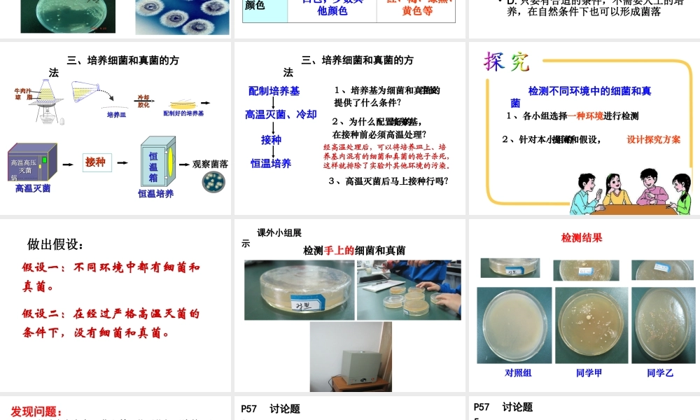 八年级生物上册 第四章 第一节 细菌和真菌的分布课件 （新版）新人教版