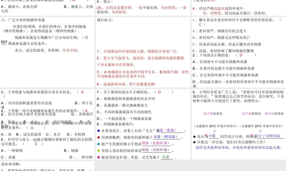 八年级生物上册 第四章 第一节 细菌和真菌的分布课件 新人教版