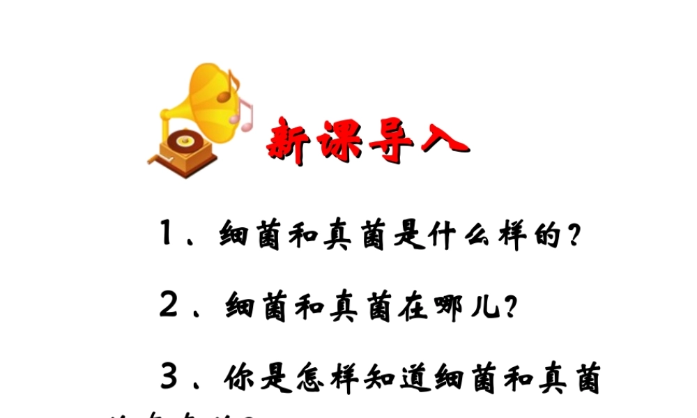 八年级生物上册 第四章 第一节 细菌和真菌的分布课件2 新人教版