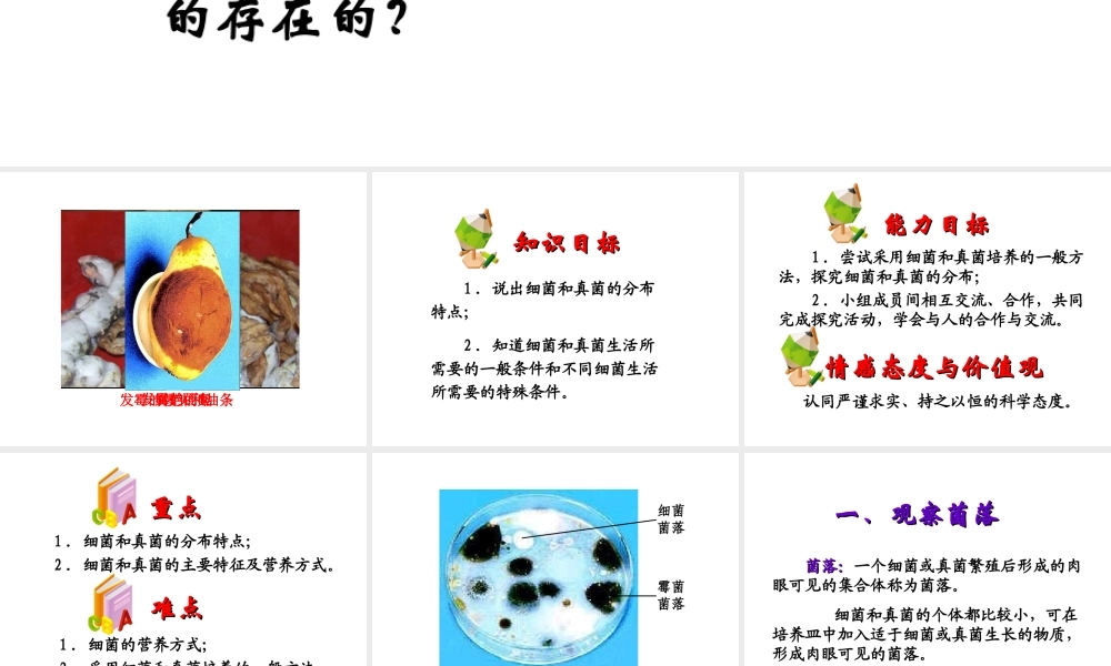 八年级生物上册 第四章 第一节 细菌和真菌的分布课件2 新人教版