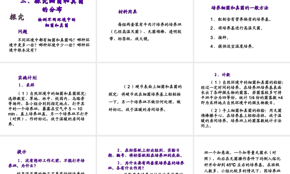 八年级生物上册 第四章 第一节 细菌和真菌的分布课件2 新人教版