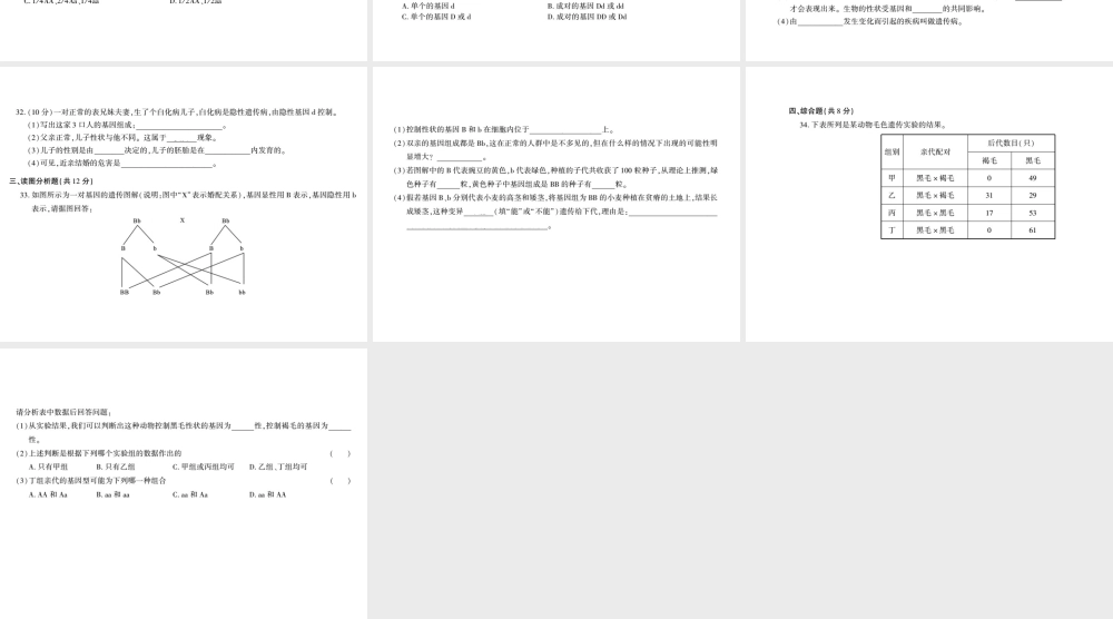 八年级生物上册 第六单元 第20章 生物的遗传和变异测评卷课件 （新版）北师大版-（新版）北师大版初中八年级上册生物课件