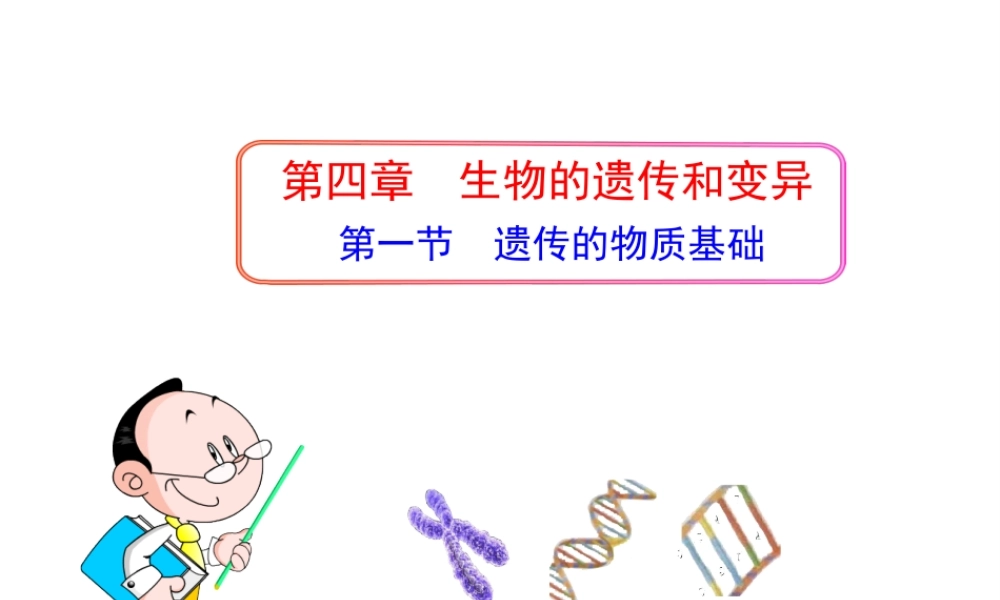 八年级生物上册 第四章 第一节 遗传的物质基础课件 济南版