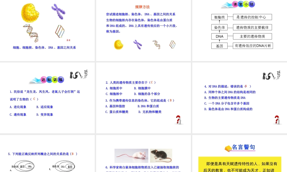 八年级生物上册 第四章 第一节 遗传的物质基础课件 济南版