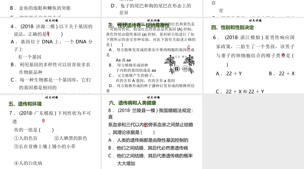 八年级生物上册 第六单元 第20章 生物的遗传和变异章末小结习题课件 （新版）北师大版-（新版）北师大版初中八年级上册生物课件