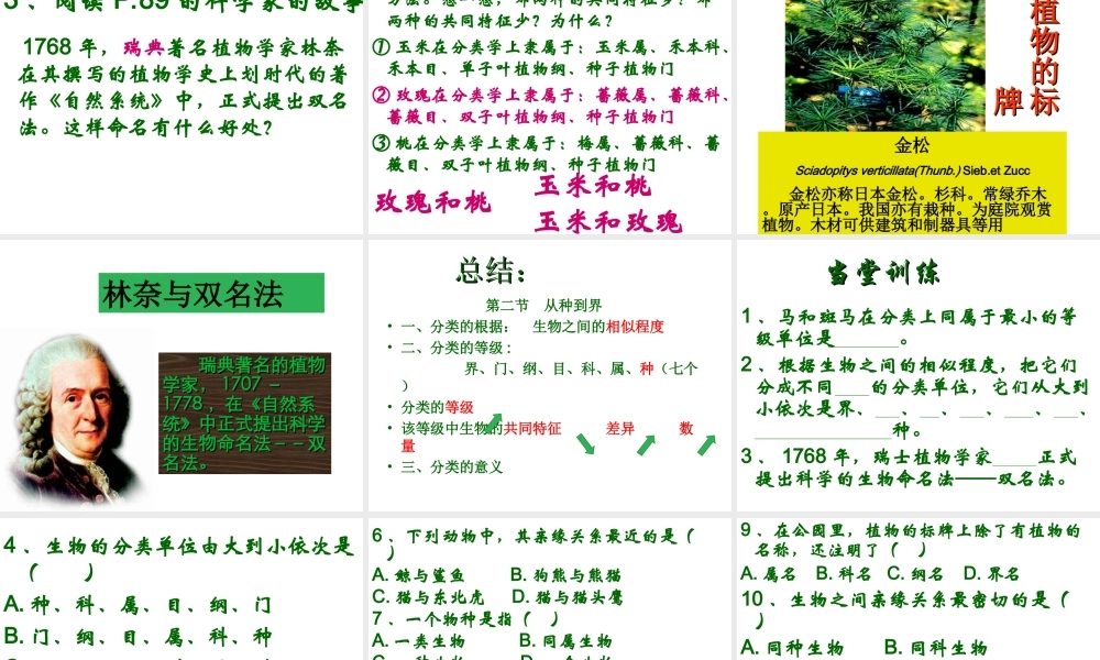 八年级生物上册 第六单元 第一章 第二节 从种到界课件 新人教版