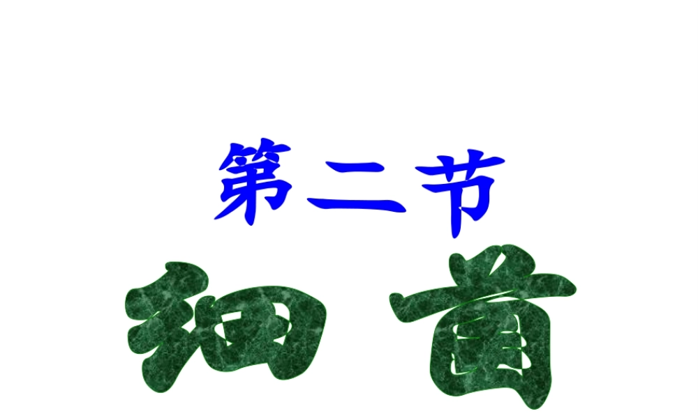 八年级生物上册 第四章 细菌和真菌 第二节 细菌课件 新人教版