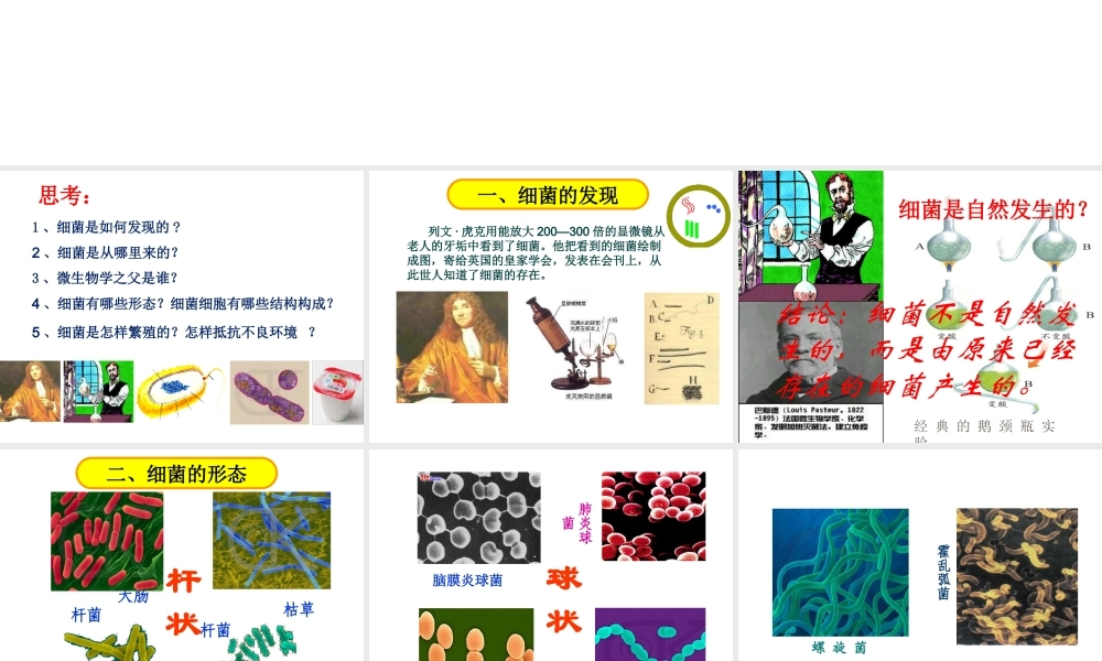 八年级生物上册 第四章 细菌和真菌 第二节 细菌课件 新人教版