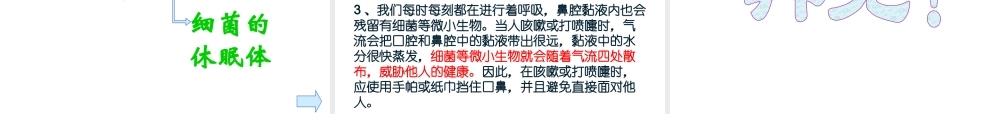 八年级生物上册 第四章 细菌和真菌 第二节 细菌课件 新人教版
