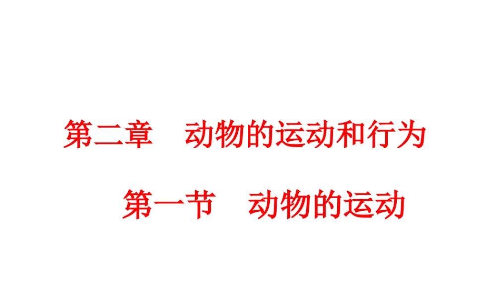 八年级生物上册 第五单元 第二章 第一节 动物的运动课件2 （新版）新人教版