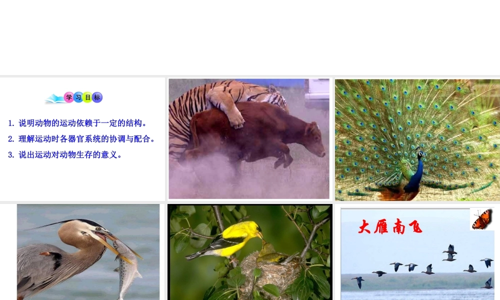 八年级生物上册 第五单元 第二章 第一节 动物的运动课件2 （新版）新人教版