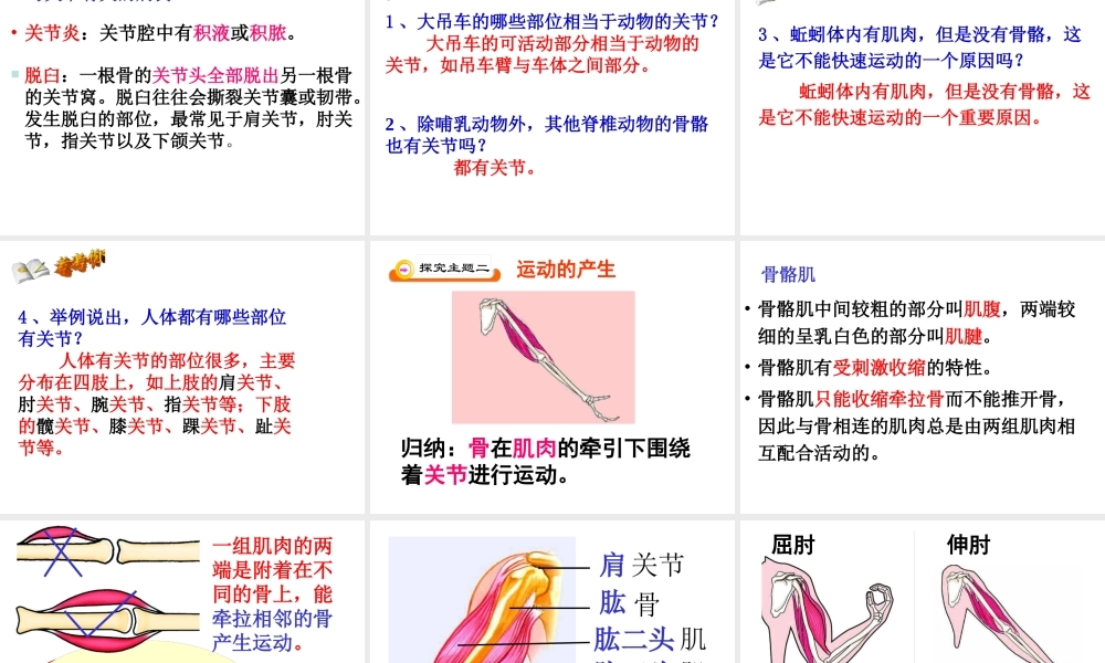 八年级生物上册 第五单元 第二章 第一节 动物的运动课件2 （新版）新人教版