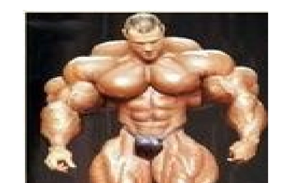 八年级生物上册 骨骼肌课件 北师大版-北师大版初中八年级上册生物课件