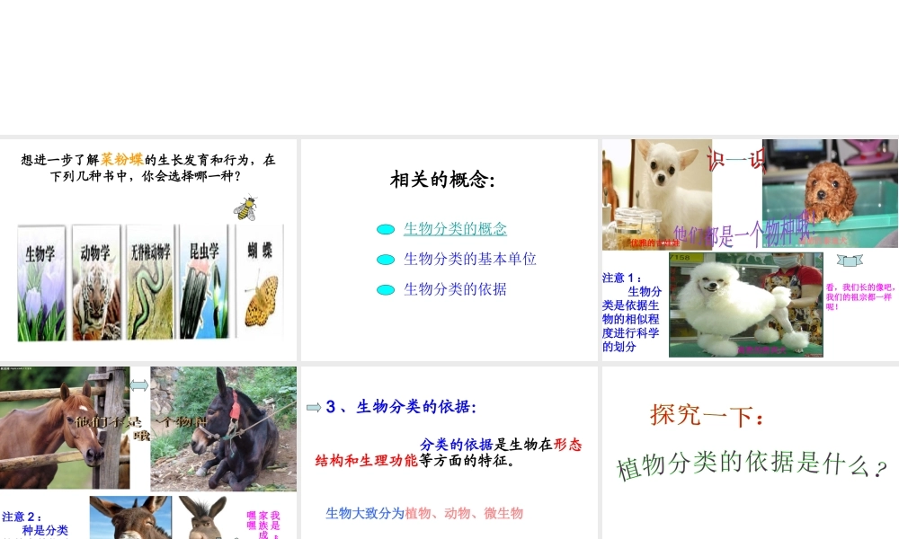 八年级生物上册 第六单元 第一章 根据生物的特征进行分类课件 新人教版