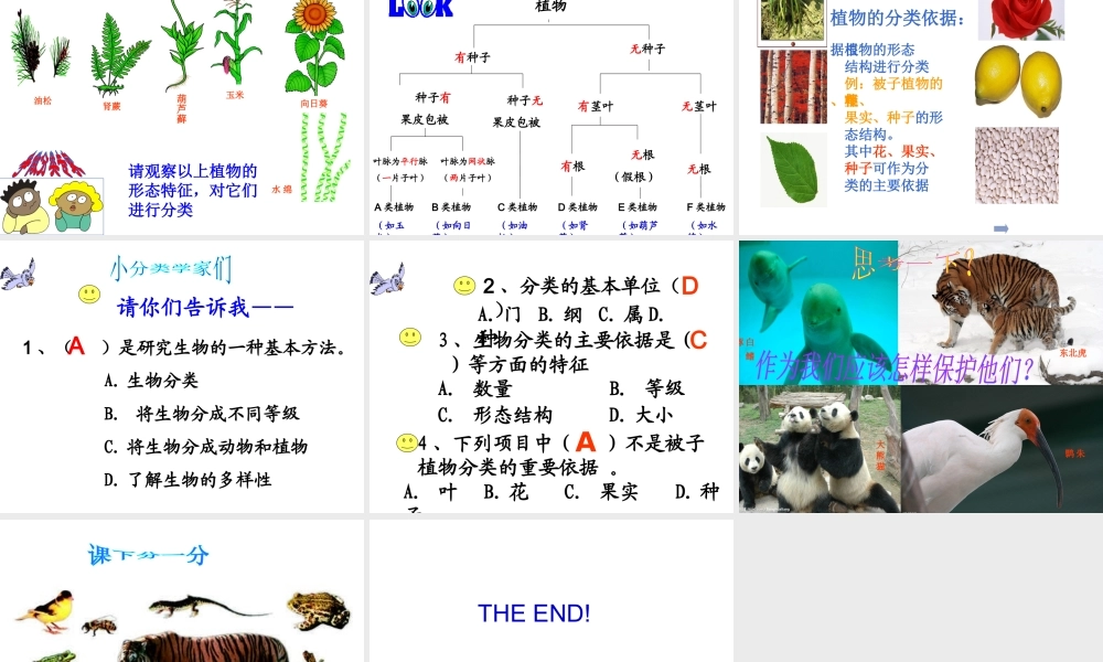 八年级生物上册 第六单元 第一章 根据生物的特征进行分类课件 新人教版