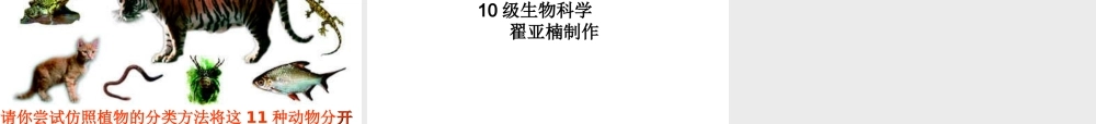 八年级生物上册 第六单元 第一章 根据生物的特征进行分类课件 新人教版