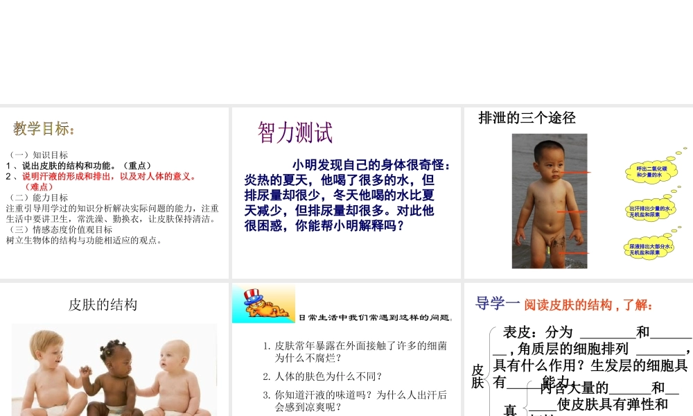 八年级生物上册 第四单元 第五章 第二节 汗液的形成和排出课件 鲁科版-鲁科版初中八年级上册生物课件