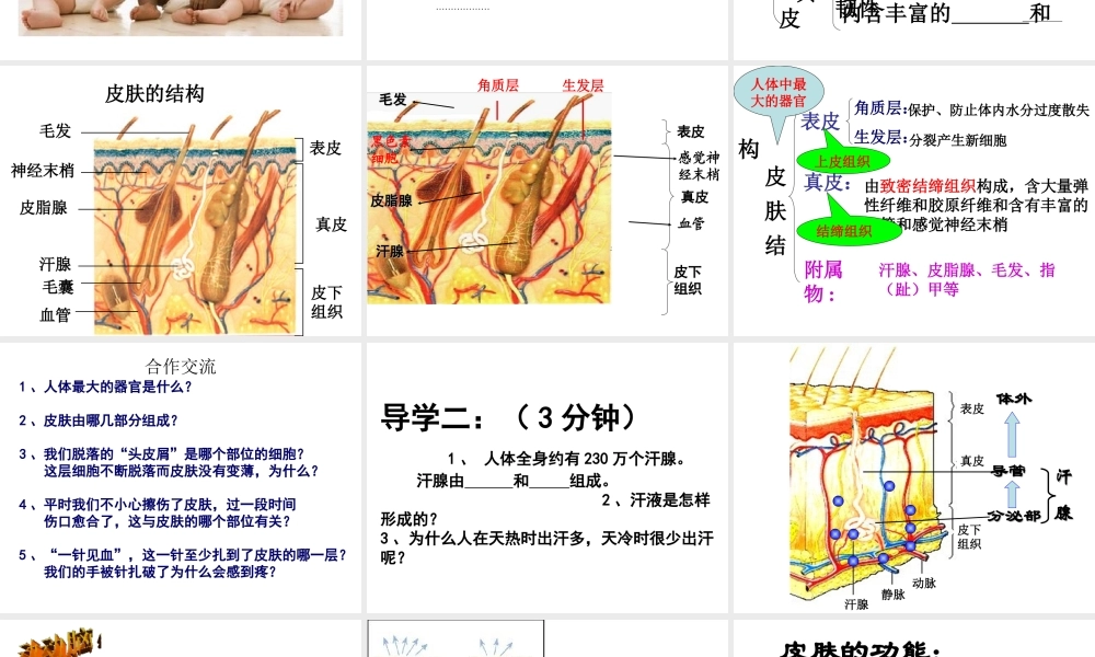 八年级生物上册 第四单元 第五章 第二节 汗液的形成和排出课件 鲁科版-鲁科版初中八年级上册生物课件