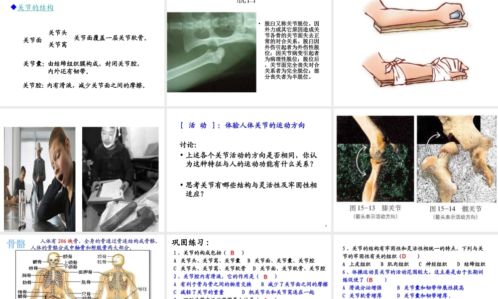 八年级生物上册 骨连结课件 北师大版-北师大版初中八年级上册生物课件