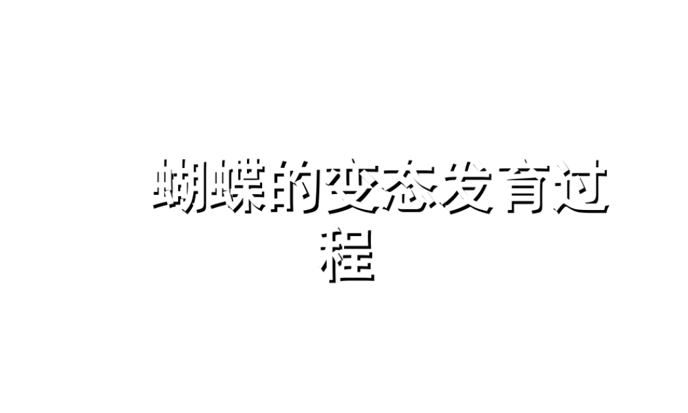 八年级生物上册 蝴蝶的变态发育过程课件 人教新课标版
